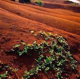 《我的世界》推出预览版 实为B测基岩版独立应用